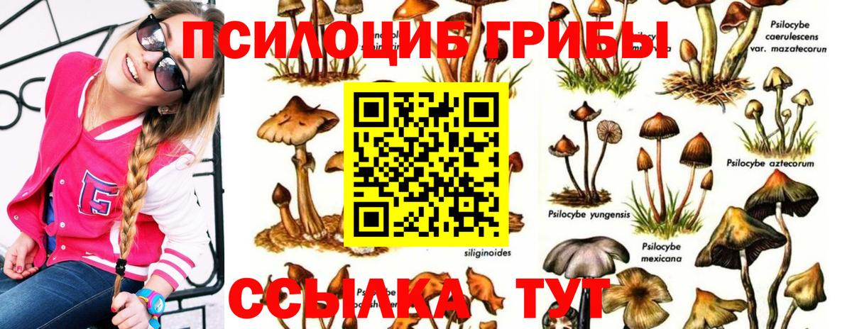 Амурск  Псилоцибиновые грибы Magic Shrooms  Псилоцибиновые грибы MAGIC MUSHROOMS  Вход с VPN 