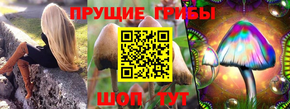 Галлюциногенные грибы прущие грибы Амурск